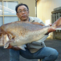 平成29年度 島根県磯釣連盟年間大物賞成績が発表されました